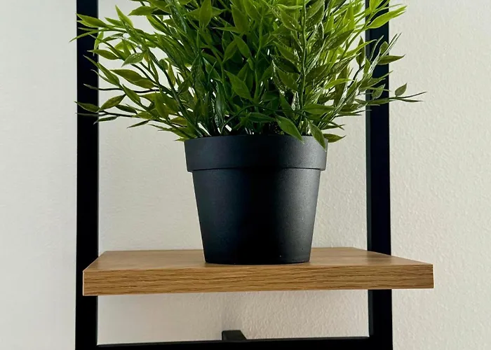 Aleixo Santiago de Compostela